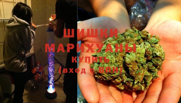 тгк Богородицк