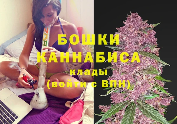 тгк Богородицк