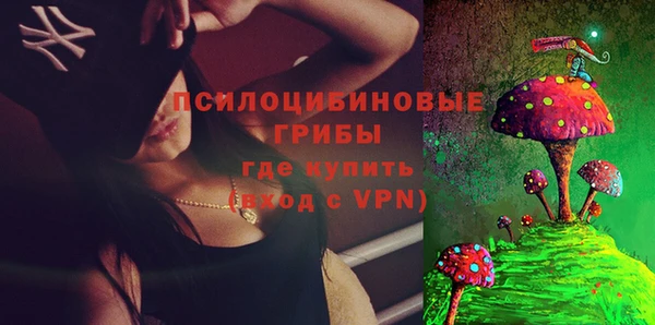 тгк Богородицк